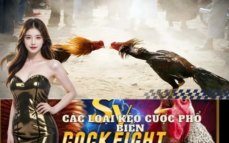 Các Loại Kèo Cược Phổ Biến