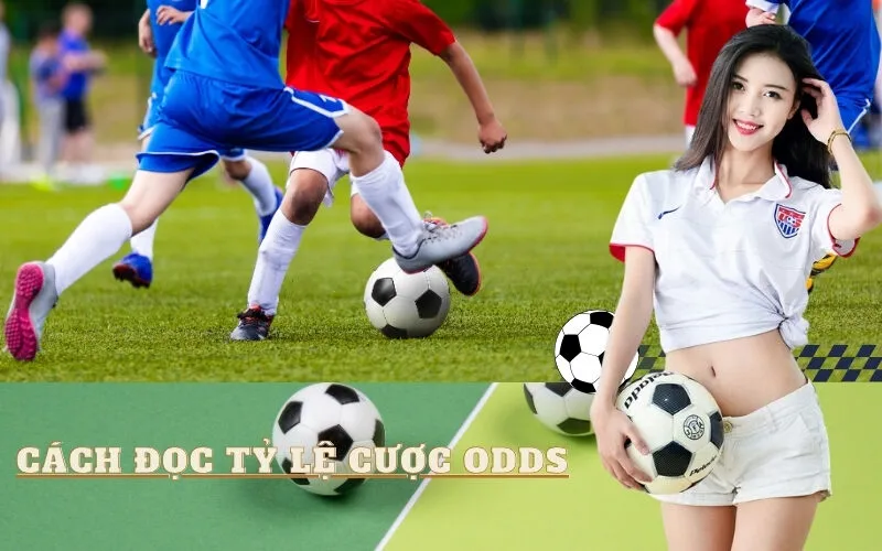 Cách đọc các loại tỷ lệ cược Odds